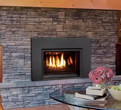 Enviro | E20 Small Gas Insert