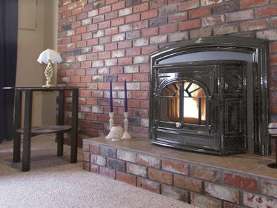 Enviro Empress Cast Iron Pellet Burning Fireplace Insert Ottawa