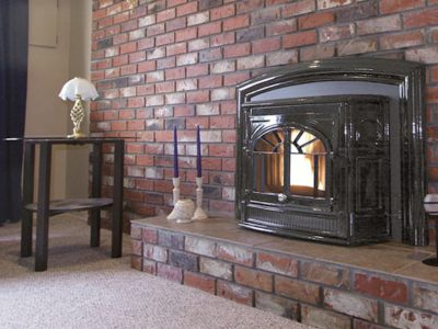 Enviro Empress Cast Iron Pellet Burning Fireplace Insert Ottawa