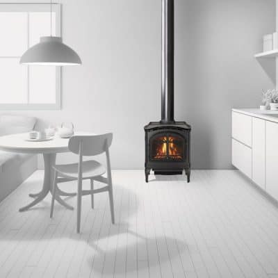 Heat & Glo | Tiara I Gas Cast Iron Stove Cost Installed? | Ottawa | Perth