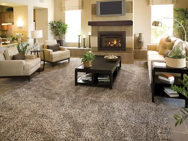 Heat & Glo | Grand I35 Gas Insert - Image 2