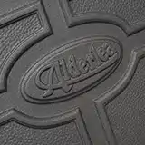 Alderlea High Efficiency Fireplace Insert | Ottawa