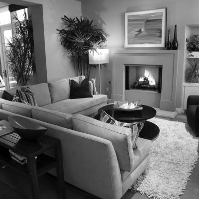Exclaim Wood Burning Fireplace | Ottawa | Perth Ontario
