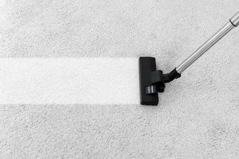 Avoid Replacing Your Carpet with Professional Carpet Cleaning