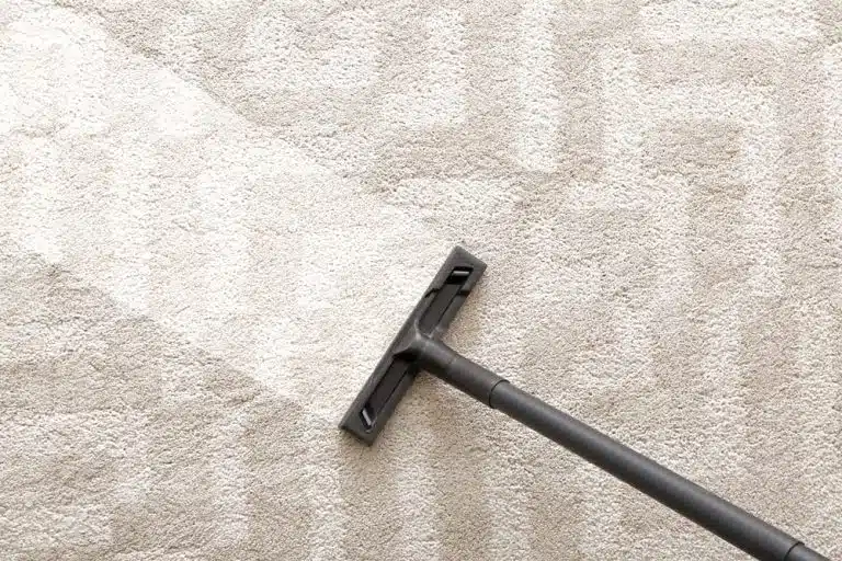 Hoovering,Of,Carpet,With,Vacuum,Cleaner,,Top,View 4 Reasons to Have Clean Carpets in Your Assisted Living Facility