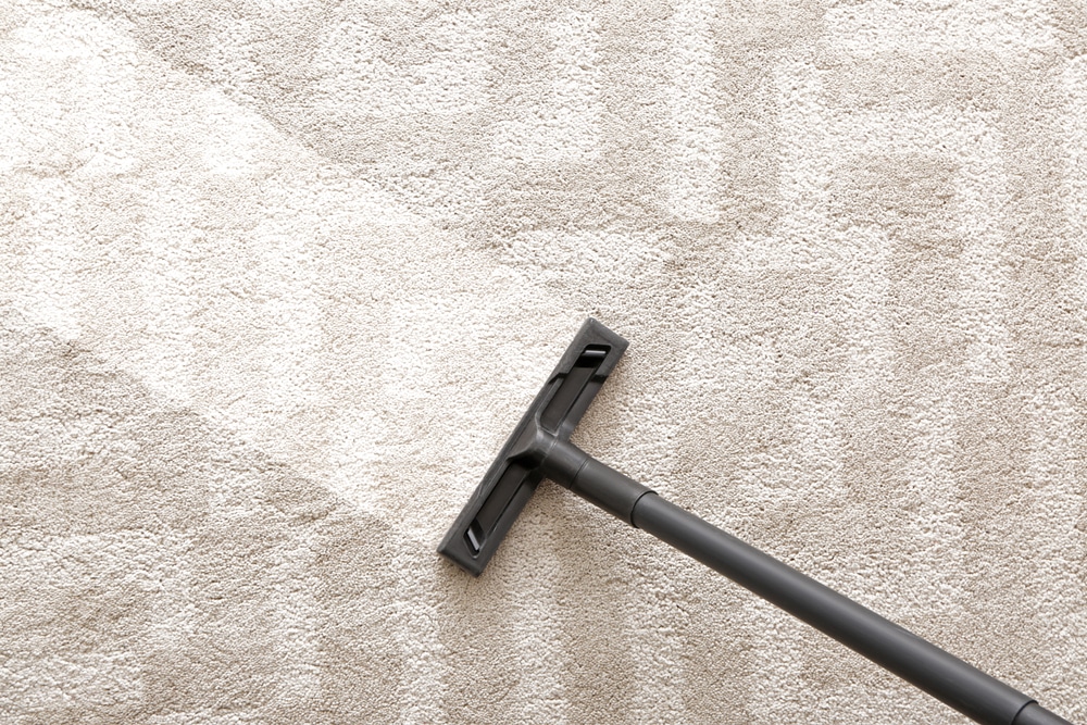 Reasons to Have Clean Carpets in Your Assisted Living Facility