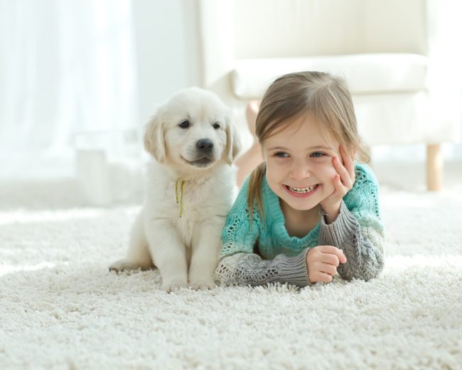 The,Child,With,The,Dog,Lying,On,The,Mat,At Sustainable Ways to Keep Your Carpet Clean