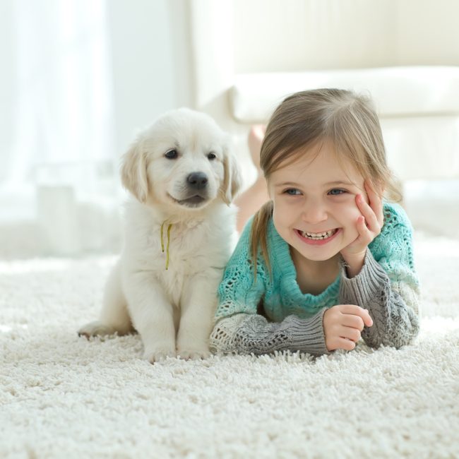 The,Child,With,The,Dog,Lying,On,The,Mat,At Sustainable Ways to Keep Your Carpet Clean