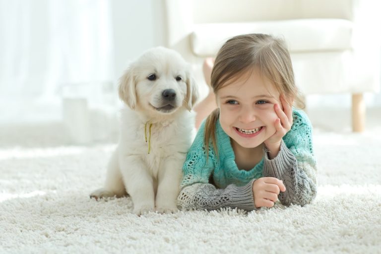 The,Child,With,The,Dog,Lying,On,The,Mat,At Sustainable Ways to Keep Your Carpet Clean
